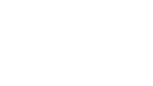 Phoenix Teefactory